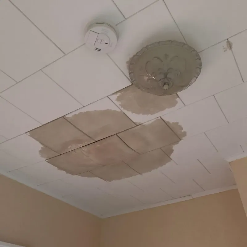 Ceiling Water Damage Repair in Lebanon, ME