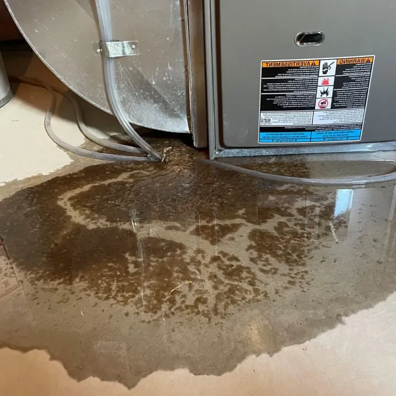 Pipe Burst and Leak Restoration in Lebanon, ME